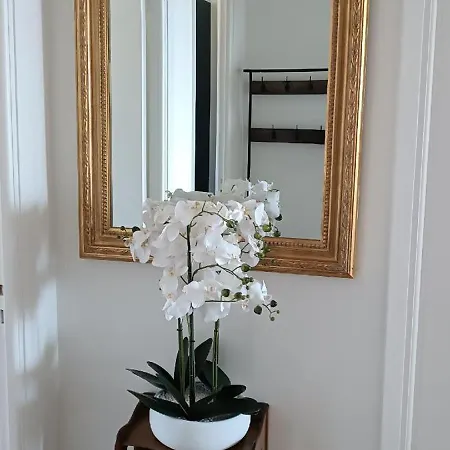 Nice, Vue Et Panoramique * نيس